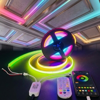 Bande lumineuse LED COB IP68 étanche DC12V 24V WS2811 WS2812B de qualité architecturale commerciale 576 LED/m, pixel adressable RGB