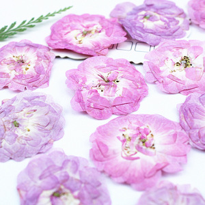 DIY本物の押し花ライトピンクパープルローズ、ナチュラルモーブローズの花、キャンドル作り、石鹸の埋め込み、エポキシ樹脂工芸装飾用 - Product Image 6