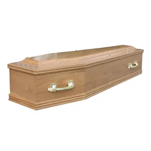 TD-EC09 Customized cardboard coffin with plastic handles factory price high quality