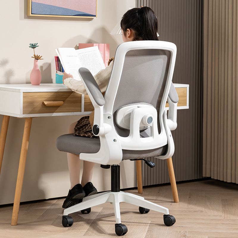 Ergonomic Office Chair Modern Home Executive