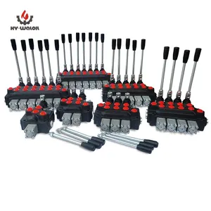 Hy-waloil DCV40 Series Backhoe Simple Designed Hydraulic Block Hydraulic Lock Valve