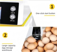 Machine à frire les œufs intelligente professionnelle pour hôtels et restaurants, machine à omelettes, machine de cuisson