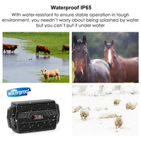 Micodus ML935, Rastreador GPS para Ganado, Vacas y Caballos, Resistente al Agua, con Collar, Geocerca, Rastreo en Tiempo Real