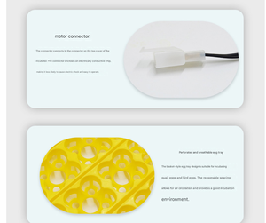 Incubadora Totalmente Automática, Bandeja de Plástico para <span class=keywords><strong>Huevos</strong></span> de Codorniz, Incubadora para Pollos, Patos, Gansos, Codornices y Aves, Incubadora Pequeña de Bajo Consumo - Product Image 5