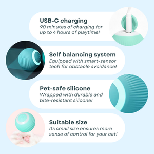 Jouet pour animaux de compagnie, balle roulante rechargeable par USB, jouet d'exercice et de poursuite pour chatons et chiens - Product Image 4
