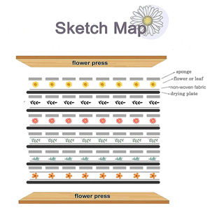 Kit de prensado de flores para principiantes, prensa de <span class=keywords><strong>hojas</strong></span> y plantas de <span class=keywords><strong>tilo</strong></span>, profesional, 6 "x 9" - Product Image 5