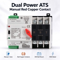 100A 2P 220V Tiga/Fase Tunggal Tipe Rel Din Saklar Transfer Otomatis (ATS) Daya Ganda Tanpa Interupsi Tenaga Surya