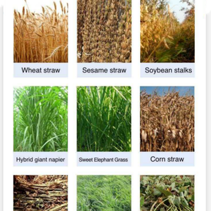 Máquina Cortadora de Césped Eléctrica, Equipo y Herramientas Agrícolas, Procesamiento de Alimentos, Alimento para Animales - Product Image 6