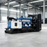 Generador Diésel de Alta Eficiencia de 900kW, Unidad de Energía Continua para Complejos Comerciales y Sitios de Construcción
