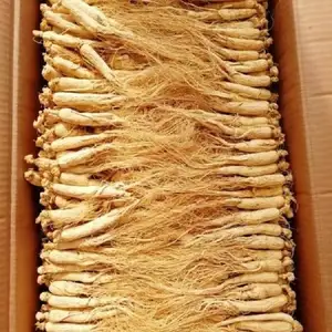 hochwertiges originales Qingchun-Großhandels-natürliches kultiviertes organisches Kraut-Gesamtiges Ginseng-Extrakt Panax-Ginseng-Wurzel