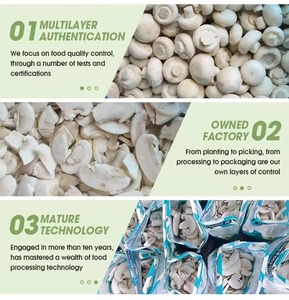 Champignons <span class=keywords><strong>Shiitake</strong></span> Entiers Tranchés Surgelés de Qualité Supérieure Fabricant et Fournisseur en Gros Fiables Champignons Pleurotus Ostreatus Surgelés - Product Image 5