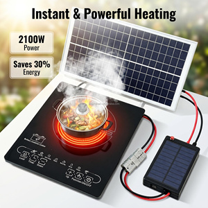 24V 48V Portable Single Burner Off-Grid Induction Cooker/<b>Stove</b> With Battery Power for Car & Household Use 2100W Power Instant & - Product Image 2