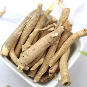 Vende materias primas de té de hierbas de berenjena borracho africano de alta calidad