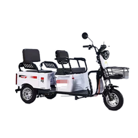 Mini Vélo Électrique Haute Puissance à Châssis Ouvert, Moteur 500W, Batterie 48V 20Ah, Autonomie 90km, Charge Utile 500kg+, Certifié CE