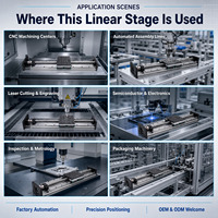 Module de guidage linéaire double à vis CNC OEM ODM, Pièces de mouvement linéaire personnalisées professionnelles pour équipements mécaniques