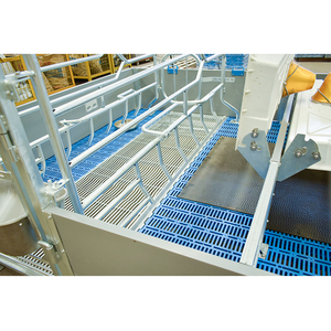 HENGYIN HY-AFS Jaulas de Parto para Cerdos de Buena Calidad de Fábrica China, Nuevas para Granjas Porcinas, Acero Galvanizado en Caliente Anticorrosión, Duraderas - Product Image 2