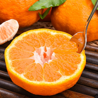 Jenis Produk Buah Jeruk Gaya Segar, Buah Oranye Mandarin Segar