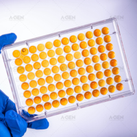 Microplaques transparentes à fond en U à 96 puits, stériles et non stériles, pour ELISA à liaison moyenne et élevée, avec couvercle transparent, consommables de laboratoire