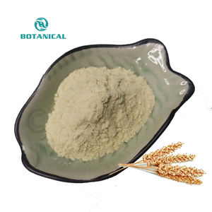Polvo de semilla de <span class=keywords><strong>psyllium</strong></span> natural a granel orgánico 99% polvo de cáscara de <span class=keywords><strong>psyllium</strong></span> - Product Image 5