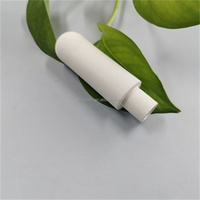 Sonde en céramique poreuse pour le sol Ergomètre Tensiomètre Tube en céramique Utilisé Détection du potentiel de l'eau du sol Tuyaux de tête en céramique