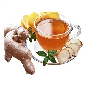 Sachets de thé au gingembre et curcuma doré - Mélange d'herbes biologiques anti-inflammatoires pour le bien-être, les soins des articulations et la santé immunitaire - 60 sachets - Product Image 1
