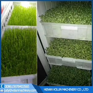 Microgreen nảy mầm khay máy làm mugbean mầm phát triển máy với giá tốt nhất Mung đậu mầm hormon - Product Image 6