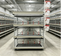 Cage à poulets à 4 étages avec revêtement antirouille, 80 poulets, 2 portes, pour l'extérieur