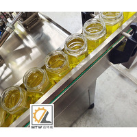 Machine de remplissage de confiture de yaourt de mayonnaise d'huile d'usine de MTW