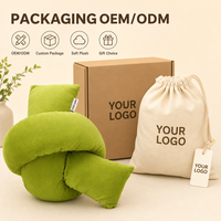 Coussin décoratif Green Know, fabrication directe d'usine, coussin décoratif personnalisé, OEM ODM, coussin à personnage avec impression et broderie