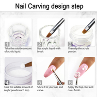 Kit Complet de Poudre Acrylique Séchage Rapide pour Décoration d'Ongles, avec Poudres Spéciales, Ponceuse et Lampe à Ongles