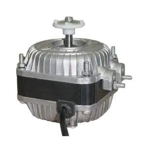 Distributore cinese micro elettrico 12V 24V ventola del congelatore motore a corrente alternata