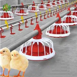 Poultry Feed Line Chicken Feeder Chicken Feeder And Food
