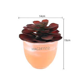 Suculenta Artificial <span class=keywords><strong>Echeveria</strong></span> en Maceta, Mini <span class=keywords><strong>Planta</strong></span> Suculenta Artificial, Pequeña Suculenta Artificial en Maceta Lista para Exhibir, Decoración para Hogar y Oficina - Product Image 6
