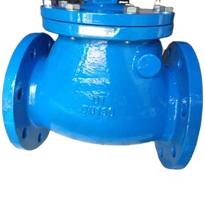 Ductile Iron Double Flange Swing Check Valve with EPDM/Rubber <b>Seals</b> for Water Normal to High Temperature DN50-DN600 - Product Image 3