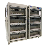 Machine de calibrage de capacité de cellules de batterie prismatiques 128 canaux 5V 30A