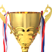 Trophées et Coupes Personnalisés en Métal pour Danseuses de Bal, Football, Basketball, Sport, Ballet – Souvenirs Créatifs