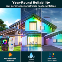 Lumière extérieure permanente principale RGBIC DC24V Smart APP Control DIY Christmas Halloween Decoration Permanent Outdoor Eaves Light
