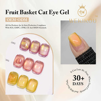 Ensemble de gels pour les yeux de chat avec logo personnalisé Coréen de couleur néon Corbeille de fruits Gel pour les yeux de chat