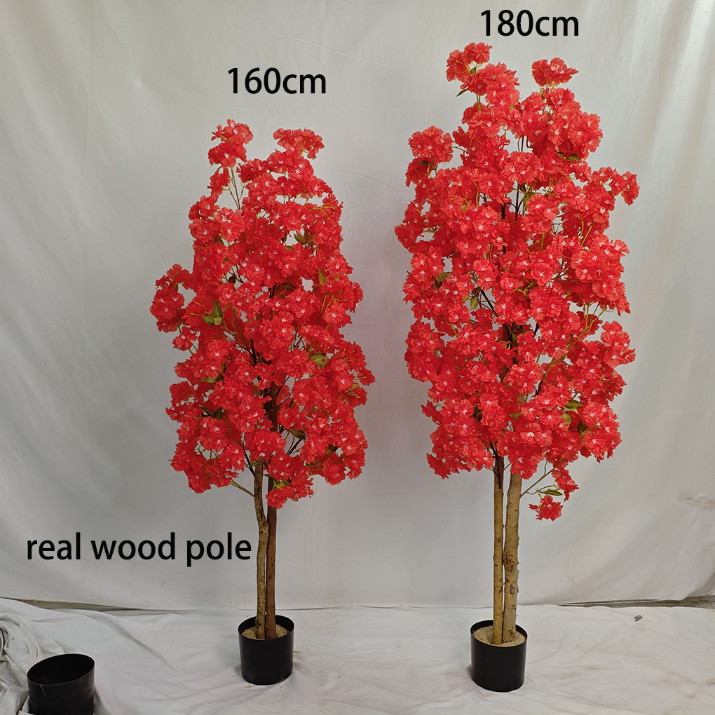 #4 (about 180cm)