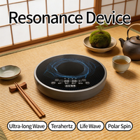 Nouvel appareil portable multifonctionnel de biorésonance à guidage de champ, rechargeable, à térahertz, pour eau chaude/froide, en plastique, OEM/ODM, modèle 2026