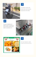 Commerciële Automatische Dubbele Roller Verse Citroen Sinaasappelsap Maken Knijpen Fruit Pers Juicer Machine Prijs