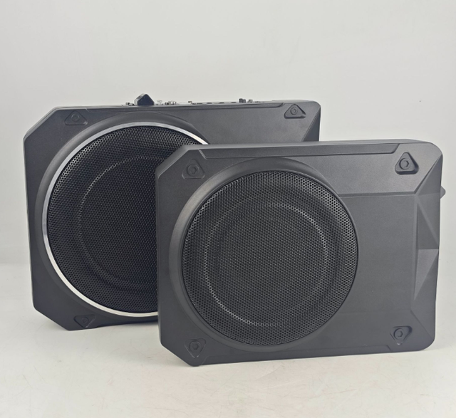 Factory Direct Competition Subwoofer Professional 12 Inch Subwoofer Box Subwoofer Amplificado