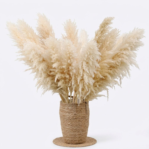 Plumas de Pampa Secas Ecológicas Naturales Esponjosas Decoración Boho para el Hogar Crema Beige <span class=keywords><strong>Pampas</strong></span> Altas Día de la Madre Año Nuevo - Product Image 2