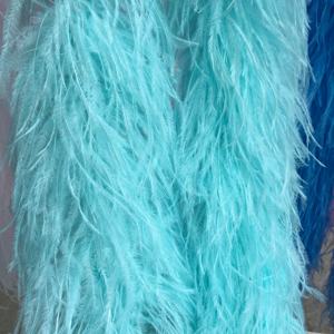 2ply 1ply Guirlande Écharpe Plume d'autruche Boa <span class=keywords><strong>pour</strong></span> <span class=keywords><strong>Femmes</strong></span> Diy Craft Costume Dance Party Halloween Xmas Decor Cloth Dance Accessory - Product Image 1