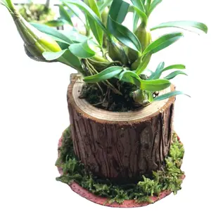 Creative flowerpot, pile flowerpot