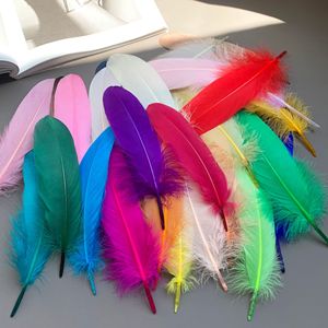 <span class=keywords><strong>Plumes</strong></span> d'oie blanches teintées, lavées, rigides, moelleuses, grandes, pour la vente en gros aux fabricants, accessoires de décoration DIY, attrape-rêves - Product Image 6