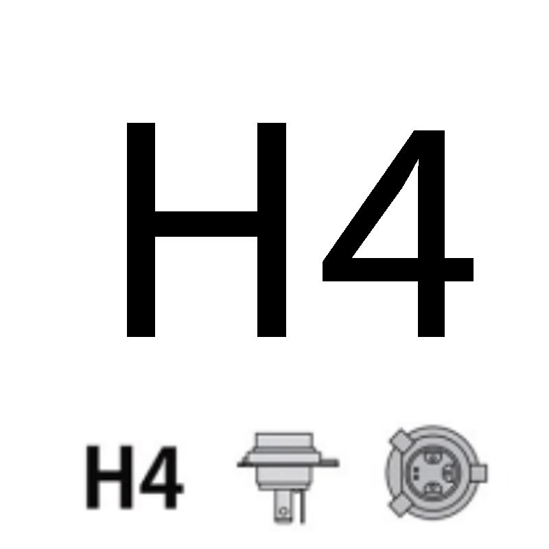 H4