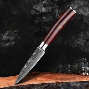 Conjunto de facas de cozinha modernas, conjunto de facas de cozinha afiadas de aço inoxidável alemão de madeira japonês com 67 camadas de damasco steak santok, em aço inoxidável com 10 peças