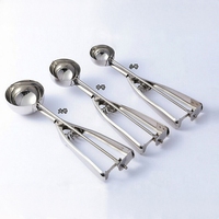 Cuillère multifonction portable en acier inoxydable pour fruits, melon, crème glacée, dessert, pour la maison, le restaurant, vente en gros
