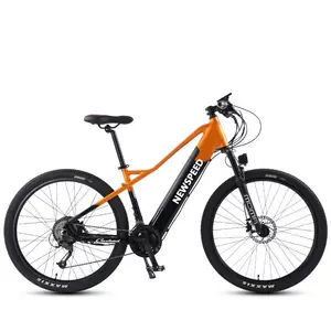 공장 공급 Zeegr 전기 자전거 26 인치 산악 전기 자전거 눈 저렴한 전기 자전거 사용자 정의 서스펜션